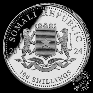 Moneda de Plata African Wildlife Leopard 1 oz BU – Somalia – 2024- Anverso