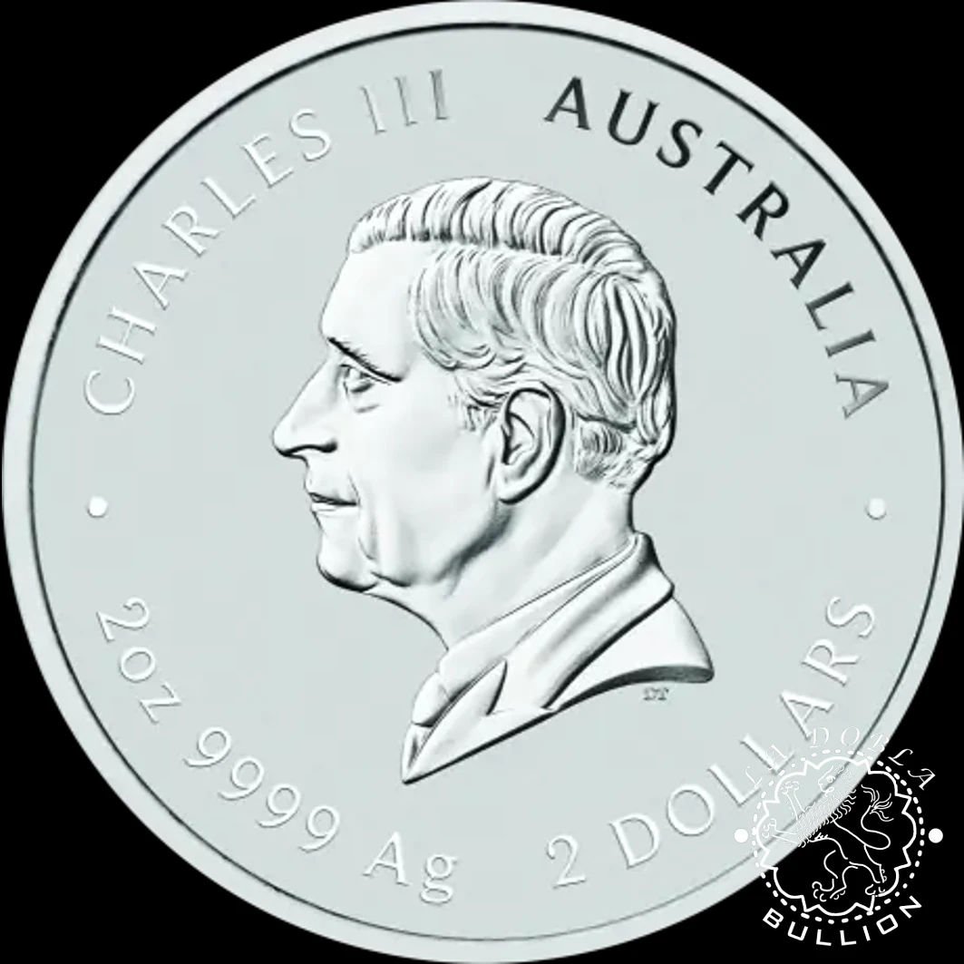 Moneda de Plata Serie Lunar III Serpiente 2 oz BU - Australia - 2025 - Anverso