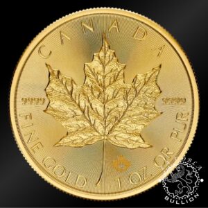 Moneda de Oro Maple Leaf 1 oz BU – Canadá – 2026 - Anverso